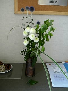 flower1.jpg