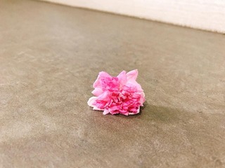 flower4.jpg